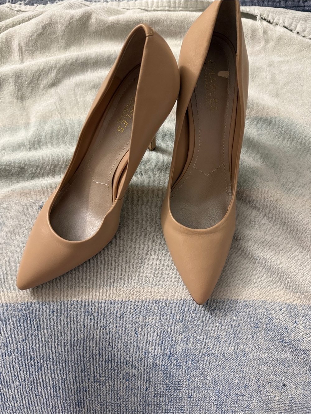 Women's Pointed Toe Nude Pumps